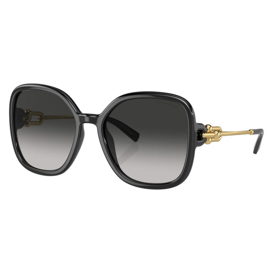 Tiffany & Co. TF4202U 80013C Black sunglasses angle view
