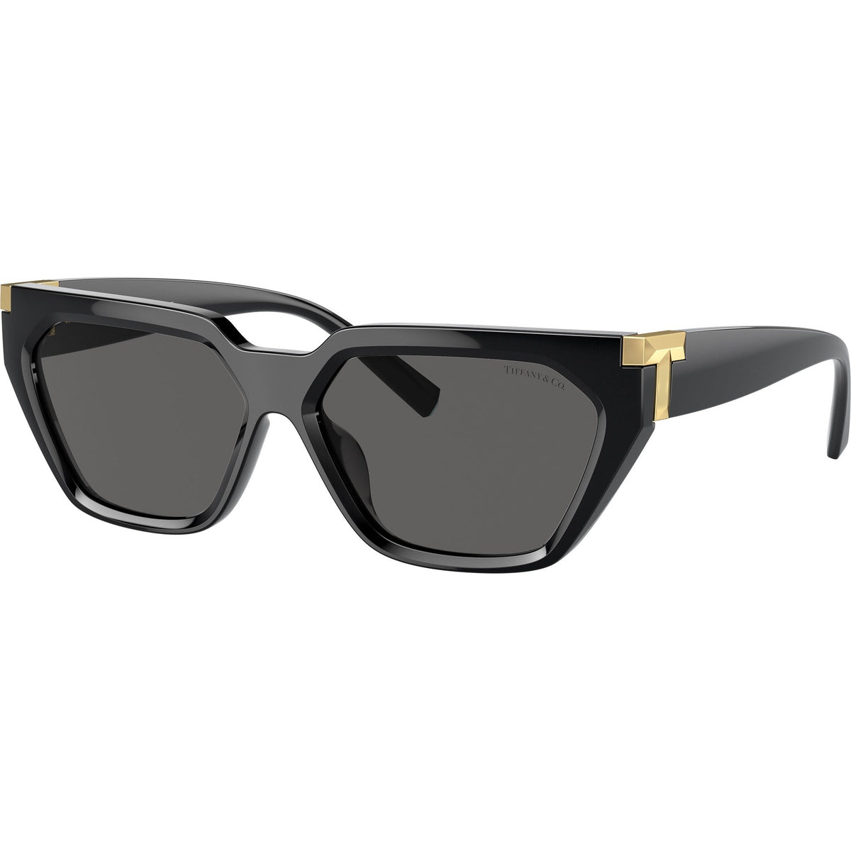 Tiffany & Co. TF4205U 8001S4 Black sunglasses angle view