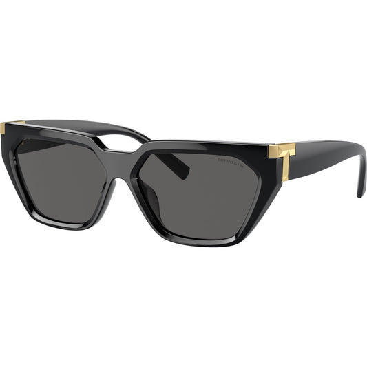 Tiffany & Co. TF4205U 8001S4 Black sunglasses angle view