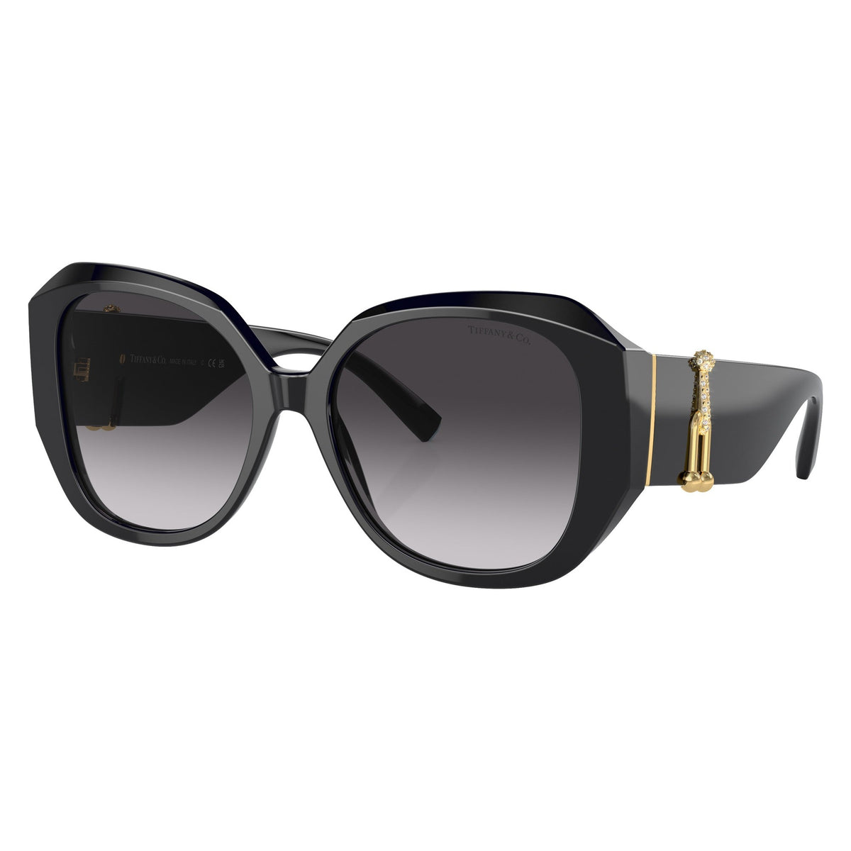 Tiffany & Co. TF4207B 80013C Black sunglasses angle view