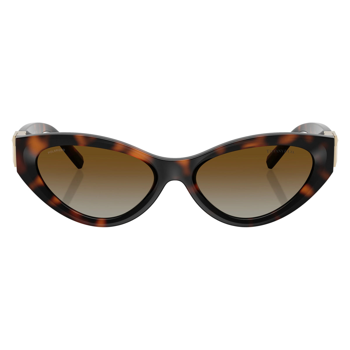 Tiffany & Co. TF4225U 8015T5 Havana sunglasses front view