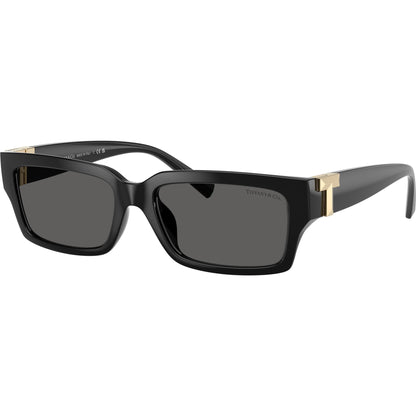 Tiffany & Co. TF4226U 8001S4 Black sunglasses angle view
