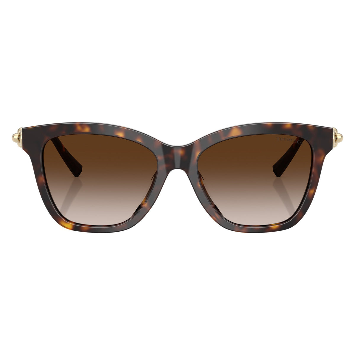 Tiffany & Co. TF4241D 80153B54 Havana sunglasses front view