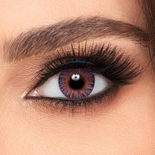 Freshlook ColorBlends Amethyst
