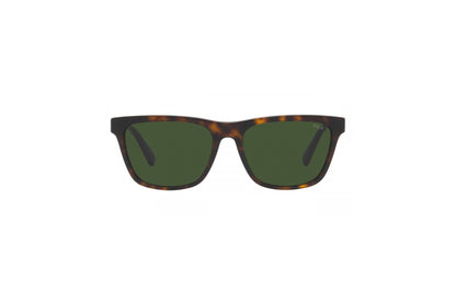 POLO Sunglasses - PH4167 (500371)