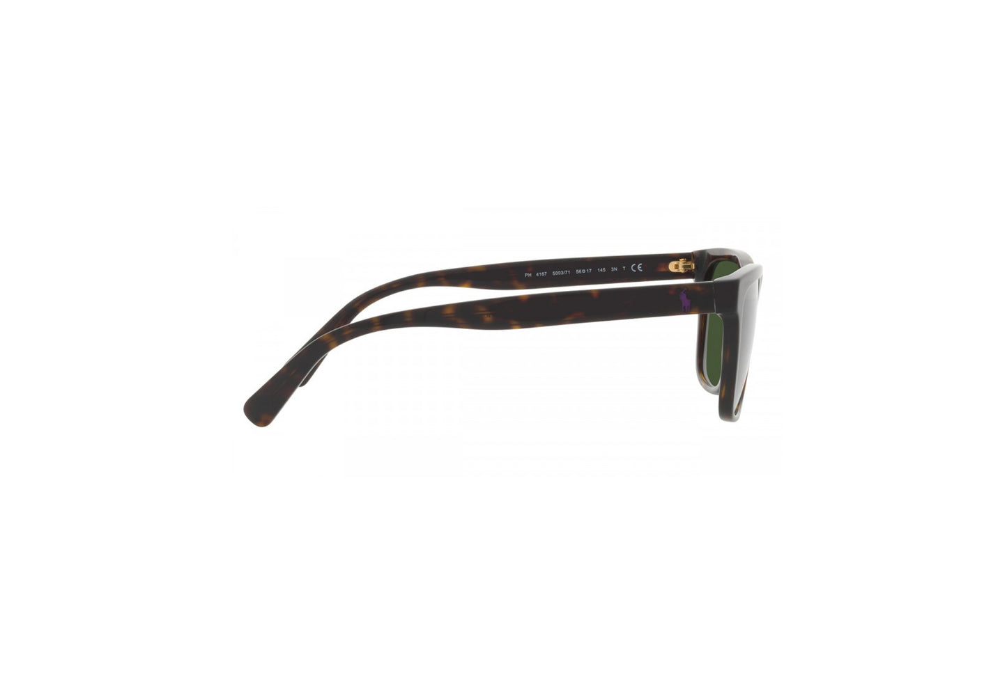 POLO Sunglasses - PH4167 (500371)