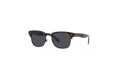 POLO Sunglasses - PH4202 (500387)