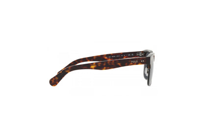 POLO Sunglasses - PH4202 (500387)