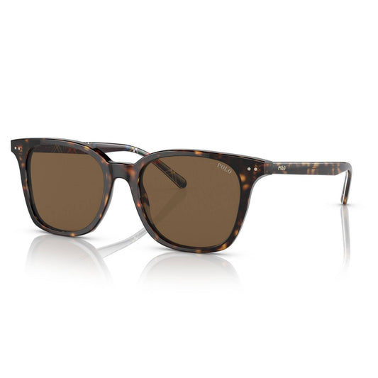 POLO Sunglasses - PH4187 (500373)