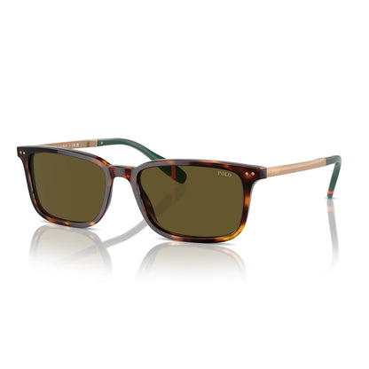POLO Sunglasses - PH4212 (613773)