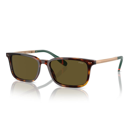POLO Sunglasses - PH4212 (613773)