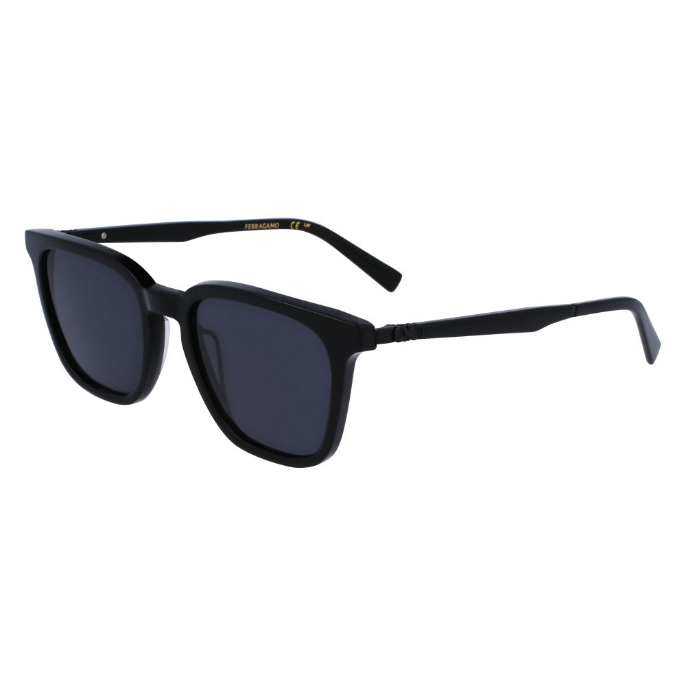 FERRAGAMO Sunglass - SF1100S (001)