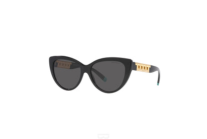 TIFFANY Sunglasses - TF4196