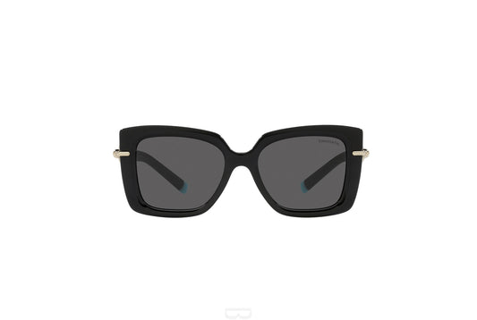 TIFFANY Sunglasses - TF4199 (8001S4)