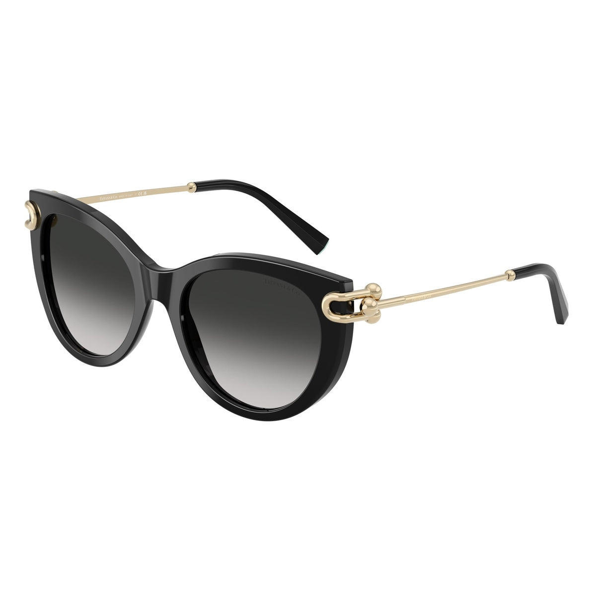 Tiffany & Co. TF4232 sunglasses in color 80013C53