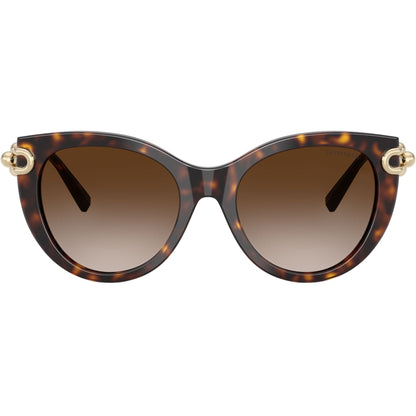 Tiffany & Co. TF4232 sunglasses in color 8015SB53