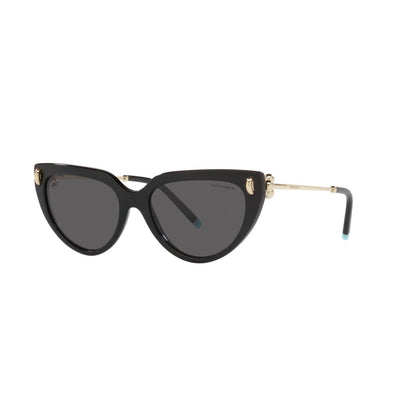 TIFFANY Sunglasses - TF4195 (8001S4)
