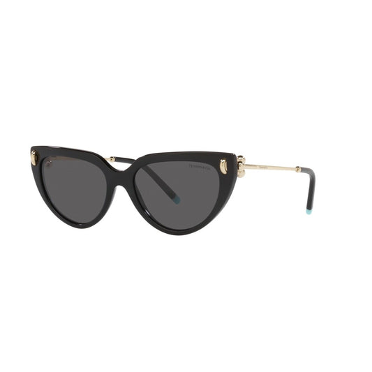 TIFFANY Sunglasses - TF4195 (8001S4)