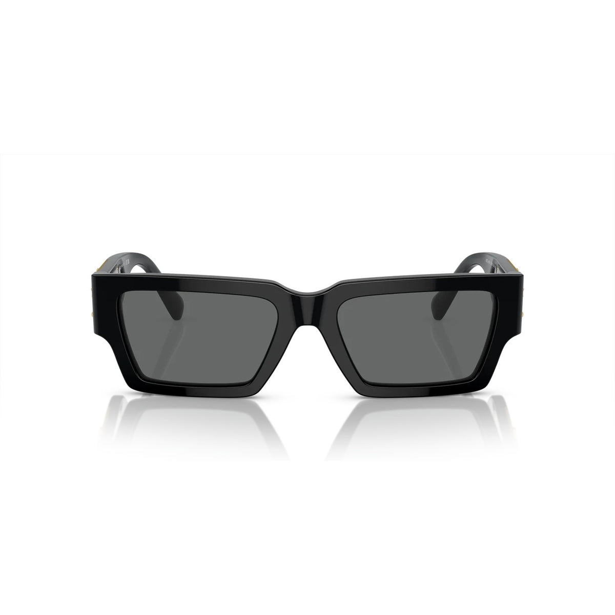 VERSACE Sunglasses - VE4459 (GB1/8754)
